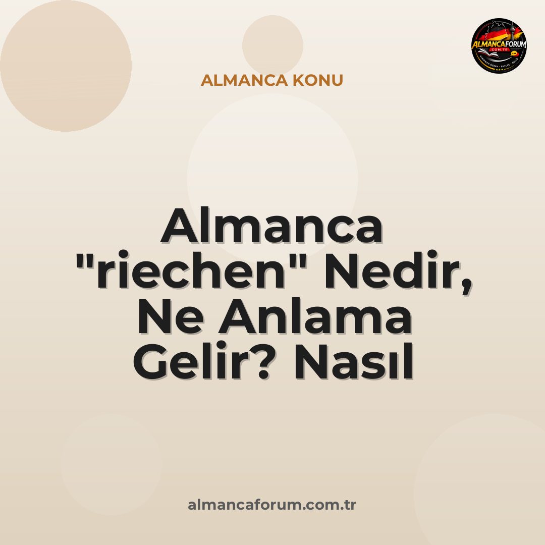 almanca-riechen-nedir-ne-anlama-gelir-nasil-kullanilir.jpg
