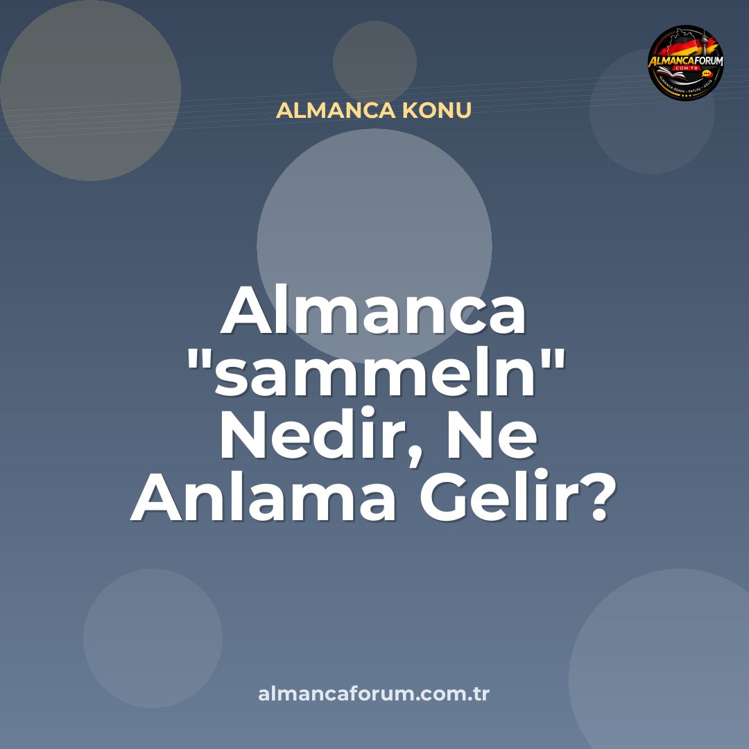 almanca-sammeln-nedir-ne-anlama-gelir-nasil-kullanilir.jpg