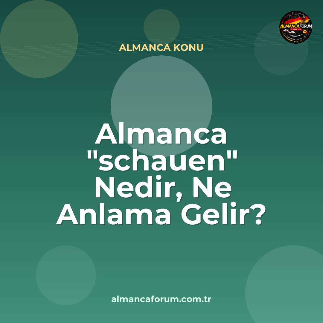 almanca-schauen-nedir-ne-anlama-gelir-nasil-kullanilir.jpg