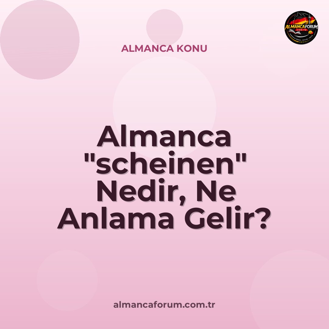 almanca-scheinen-nedir-ne-anlama-gelir-nasil-kullanilir.jpg