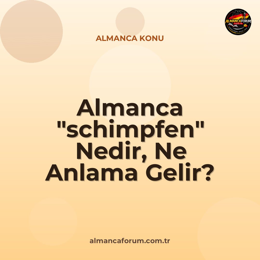 almanca-schimpfen-nedir-ne-anlama-gelir-nasil-kullanilir.jpg