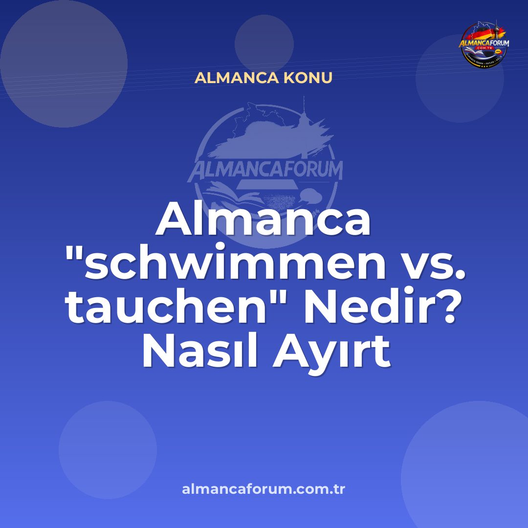 almanca-schwimmen-vs-tauchen-nedir-nasil-ayirt-edilir.jpg