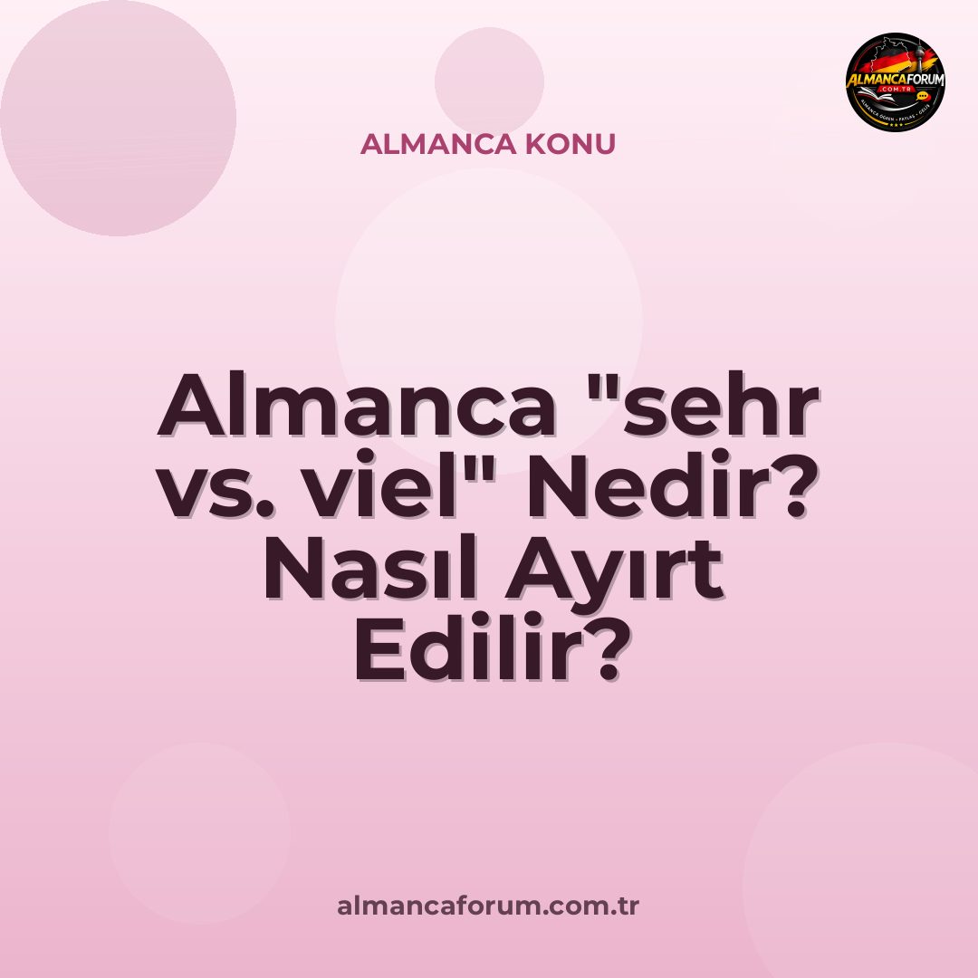 almanca-sehr-vs-viel-nedir-nasil-ayirt-edilir.jpg