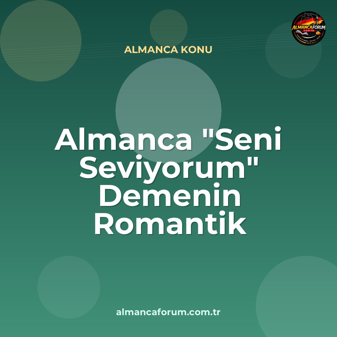 almanca-seni-seviyorum-demenin-romantik-yollari.jpg