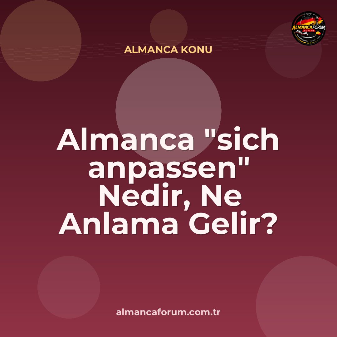 almanca-sich-anpassen-nedir-ne-anlama-gelir-nasil-kullanilir.jpg