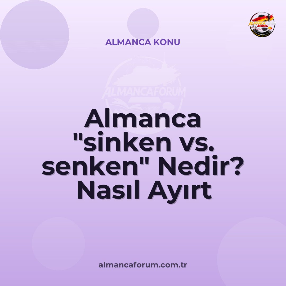 almanca-sinken-vs-senken-nedir-nasil-ayirt-edilir.jpg