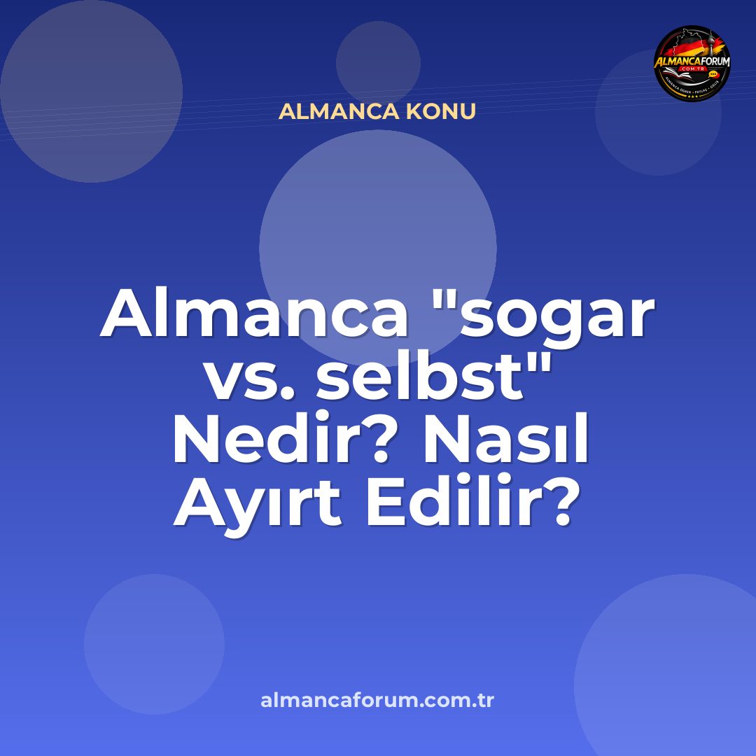 almanca-sogar-vs-selbst-nedir-nasil-ayirt-edilir.jpg