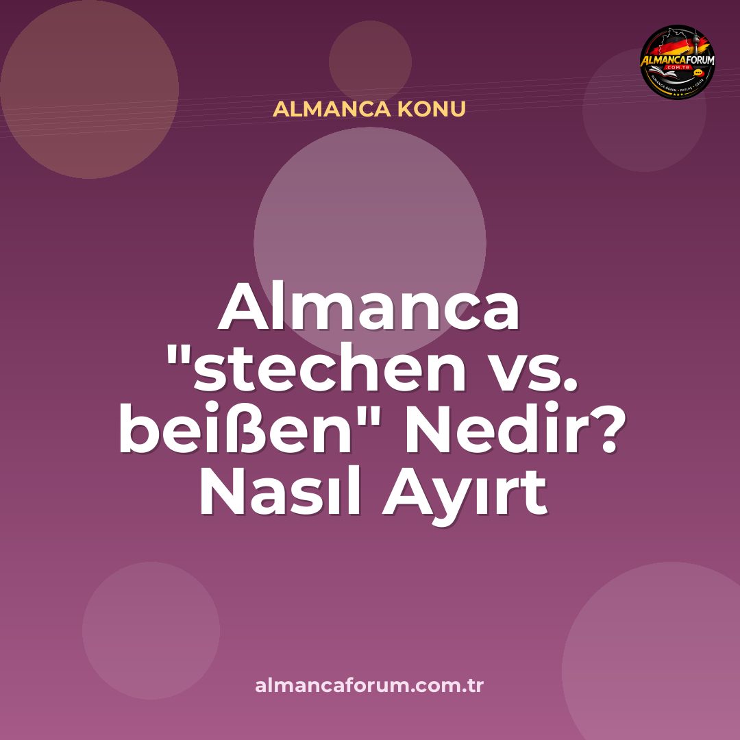 almanca-stechen-vs-beissen-nedir-nasil-ayirt-edilir.jpg