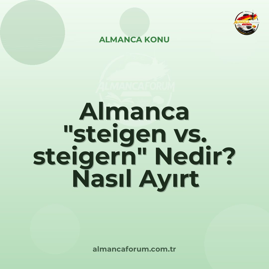 almanca-steigen-vs-steigern-nedir-nasil-ayirt-edilir.jpg