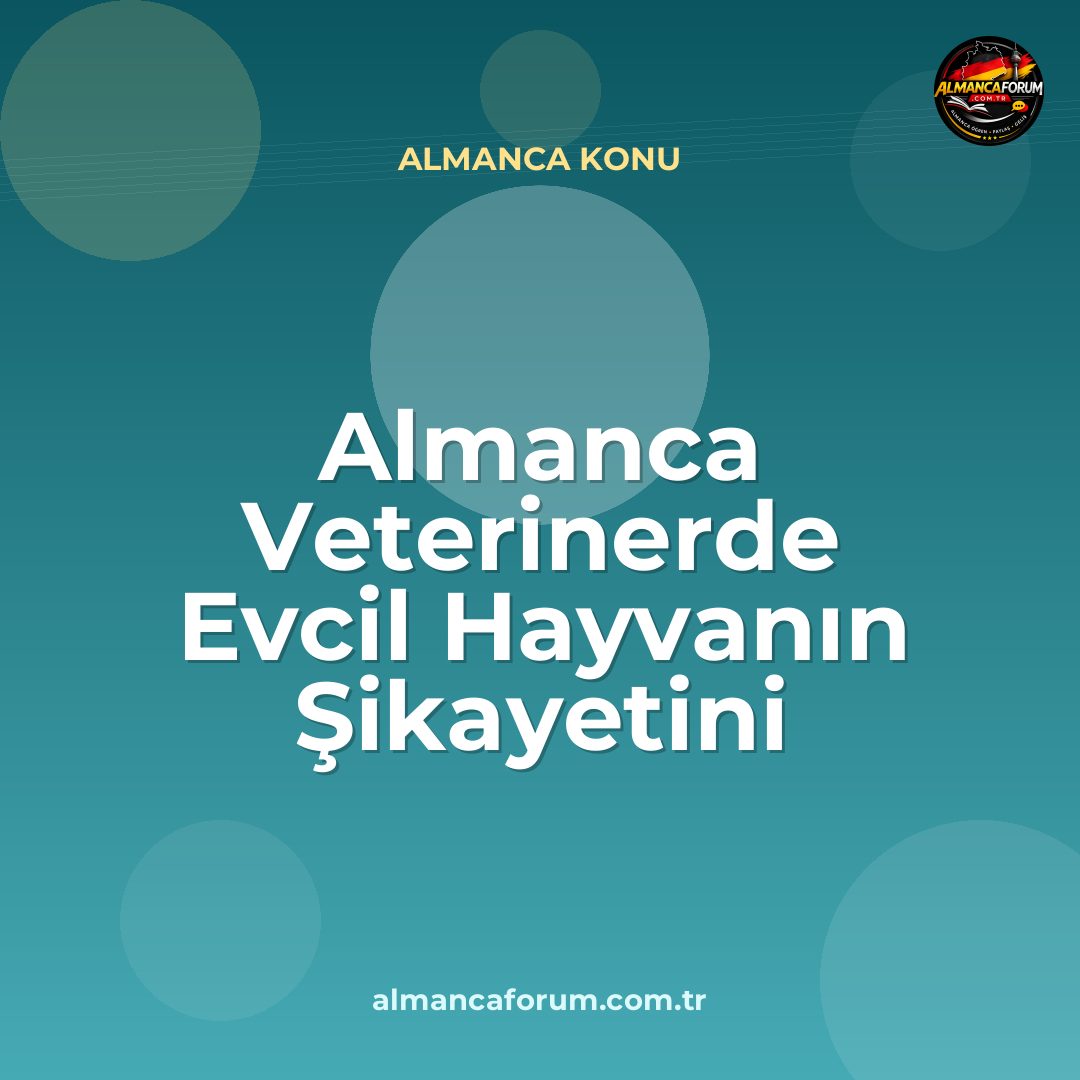 almanca-veterinerde-evcil-hayvanin-sikayetini-anlatma.jpg