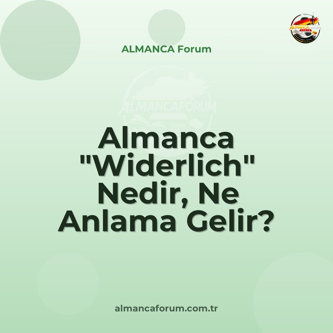 almanca-widerlich-nedir-ne-anlama-gelir.jpg