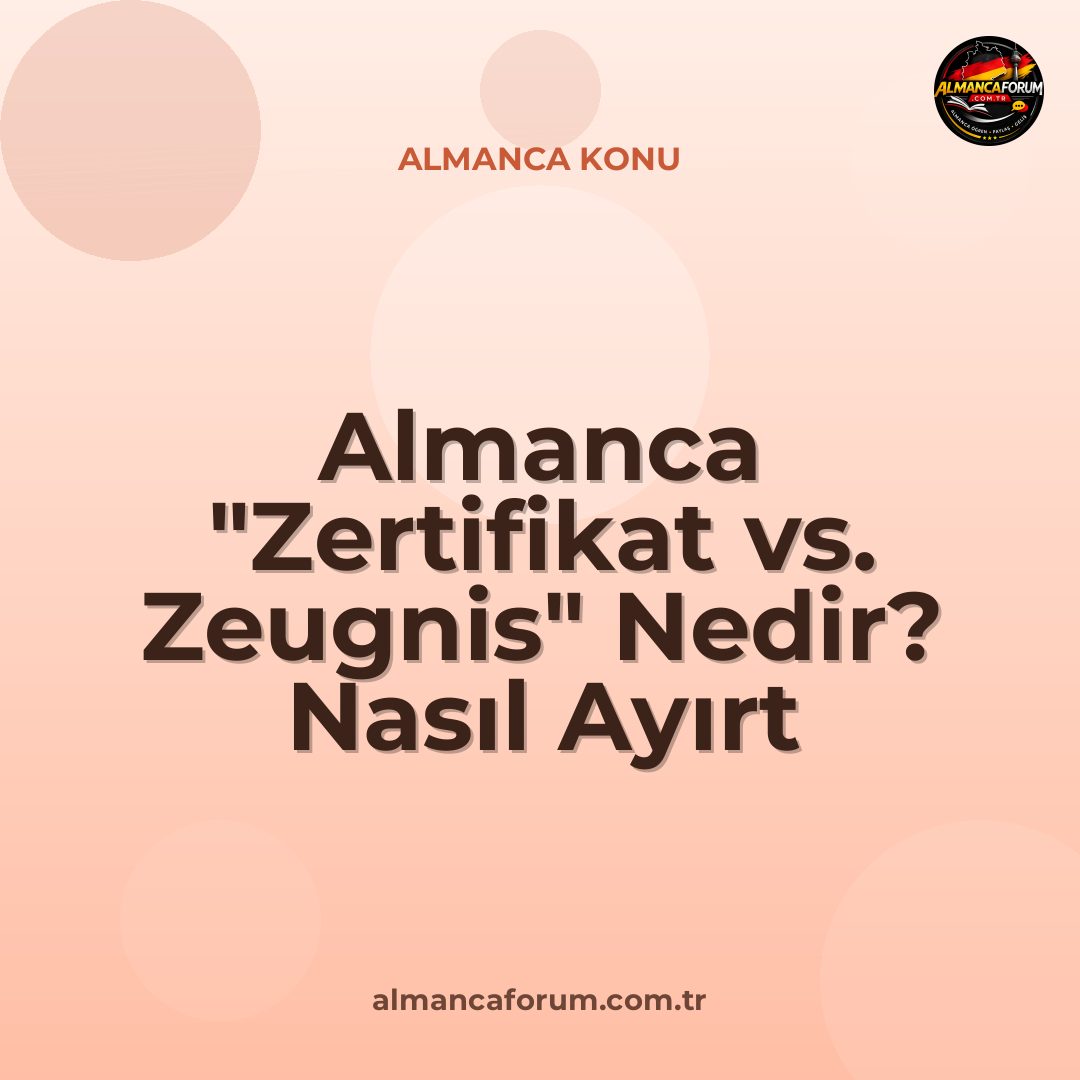 almanca-zertifikat-vs-zeugnis-nedir-nasil-ayirt-edilir.jpg