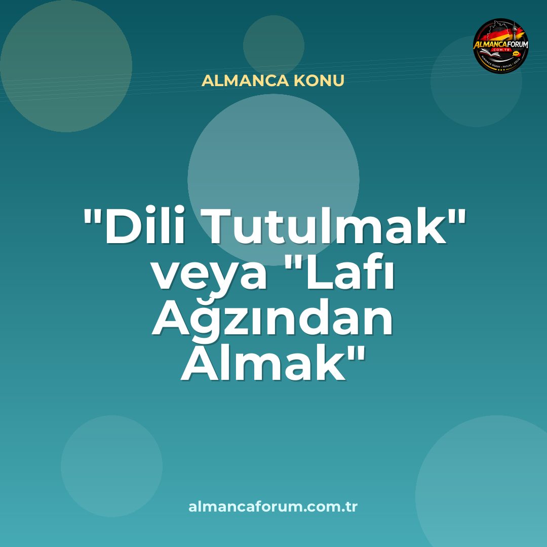 dili-tutulmak-veya-lafi-agzindan-almak-almancasi.jpg