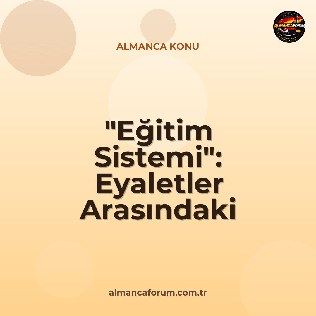 egitim-sistemi-eyaletler-arasindaki-diplom-farkliliklari.jpg