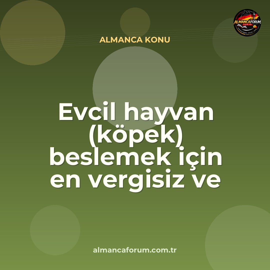 evcil-hayvan-kopek-beslemek-icin-en-vergisiz-ve-rahat-sehirler.jpg