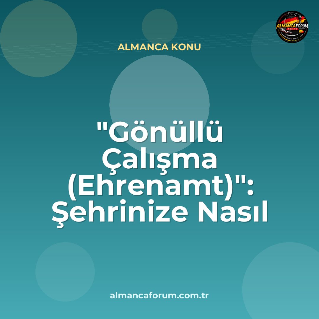 gonullu-calisma-ehrenamt-sehrinize-nasil-adapte-olursunuz.jpg