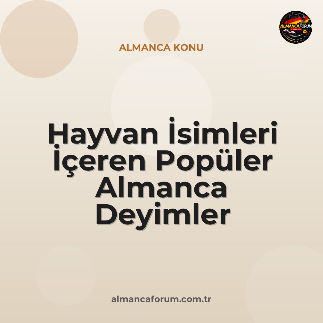 hayvan-isimleri-iceren-populer-almanca-deyimler.jpg
