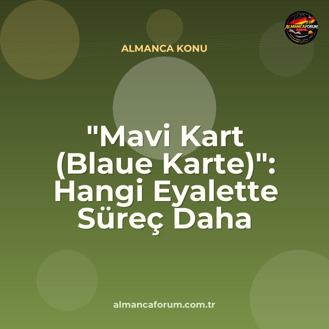 mavi-kart-blaue-karte-hangi-eyalette-surec-daha-hizli.jpg