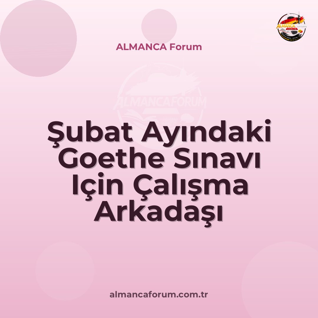 subat-ayindaki-goethe-sinavi-icin-calisma-arkadasi.jpg