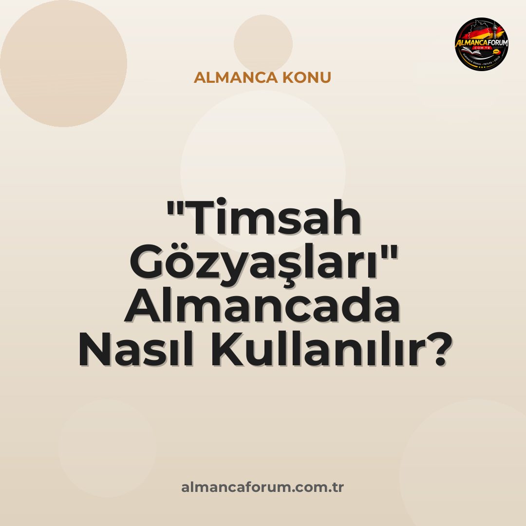 timsah-gozyaslari-almancada-nasil-kullanilir.jpg